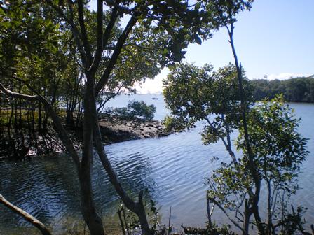 BOGGY CREEK ON THE BRISBANE RIVER