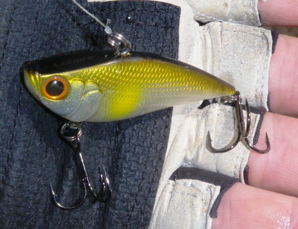 CULTIVA Miravibe lure from Owner