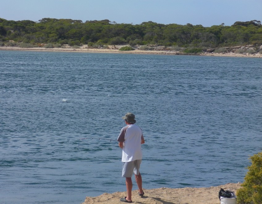 Salmon busting up at Coffin Bay - SA