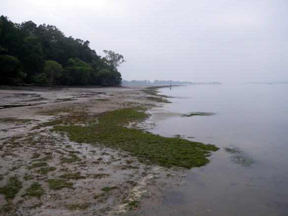 A hasy still morning at Whitepatch