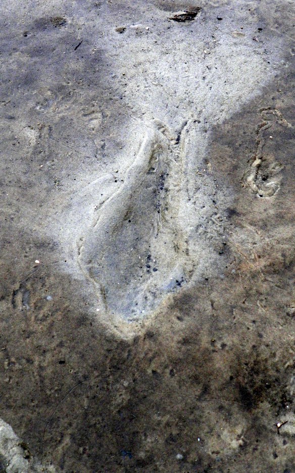 The flathead were around - somewhere