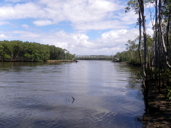 Boggy Creek - a great Brisbane River fishing spot