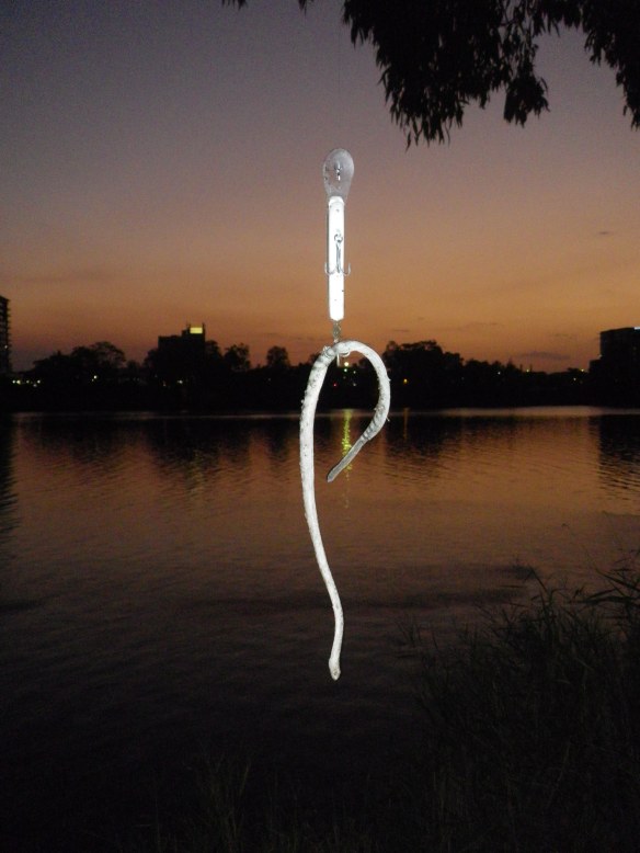 Lures will catch anything