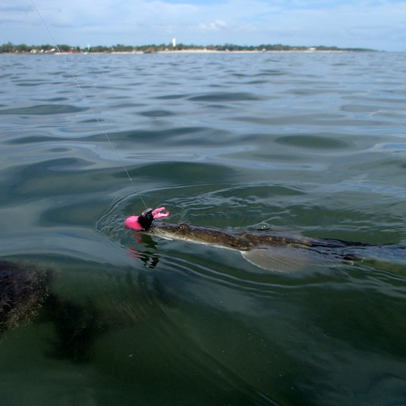 Clumps of weed everywhere