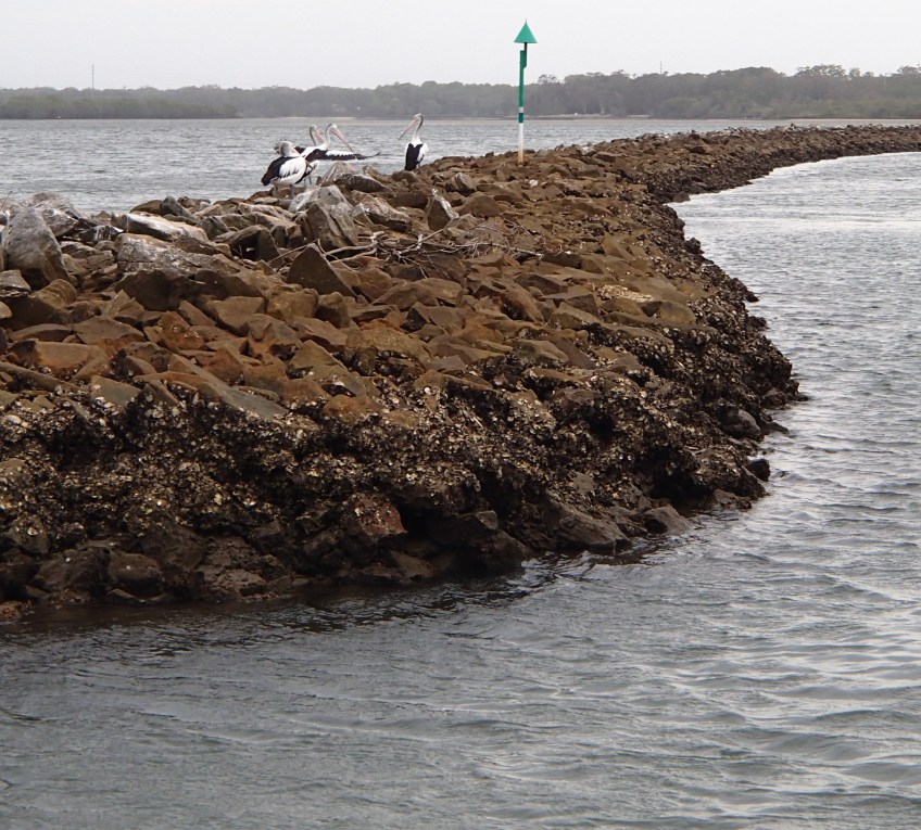 Fishing the Clarence River