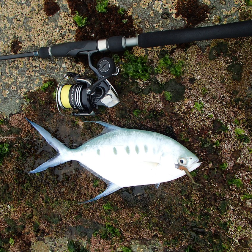 Dart on soft plastic lure