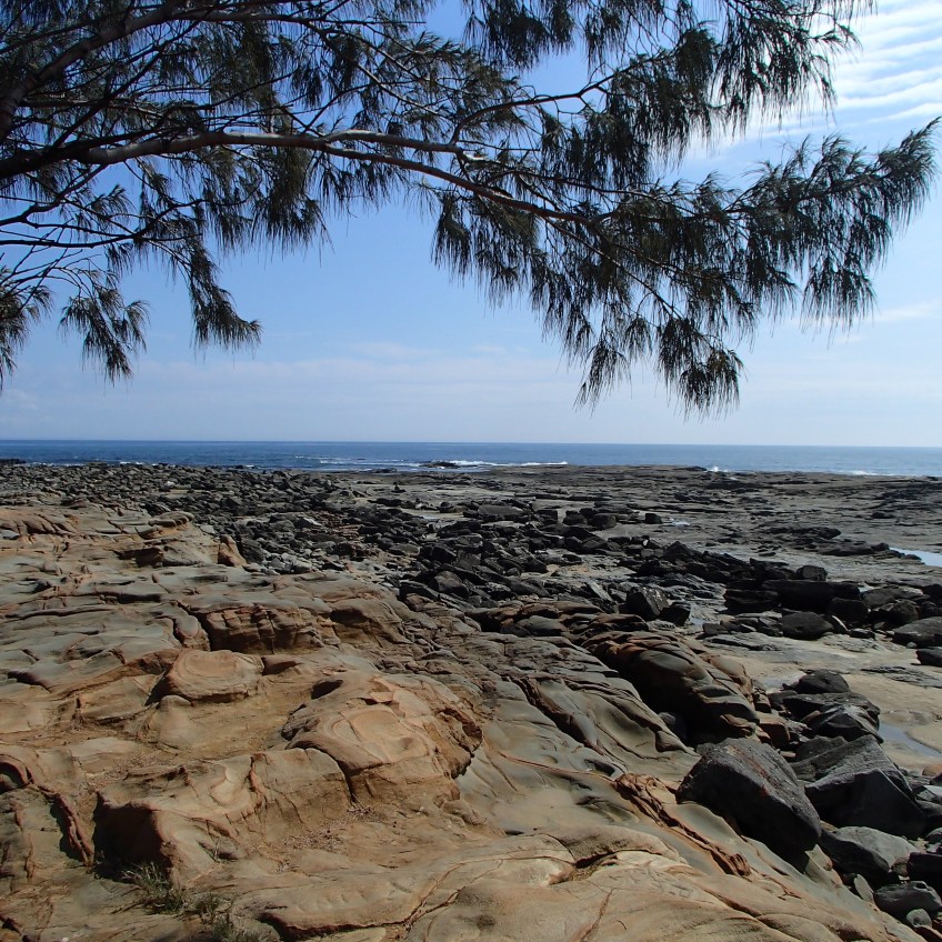 Woody Head rock platform