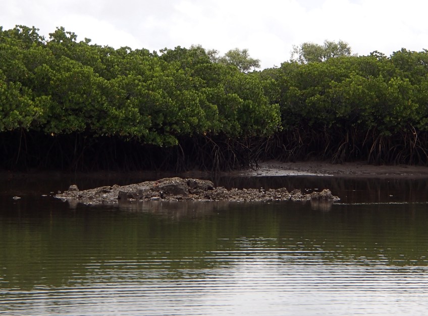 Fish attracting structure