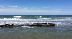 The tide reveals Flat Rock