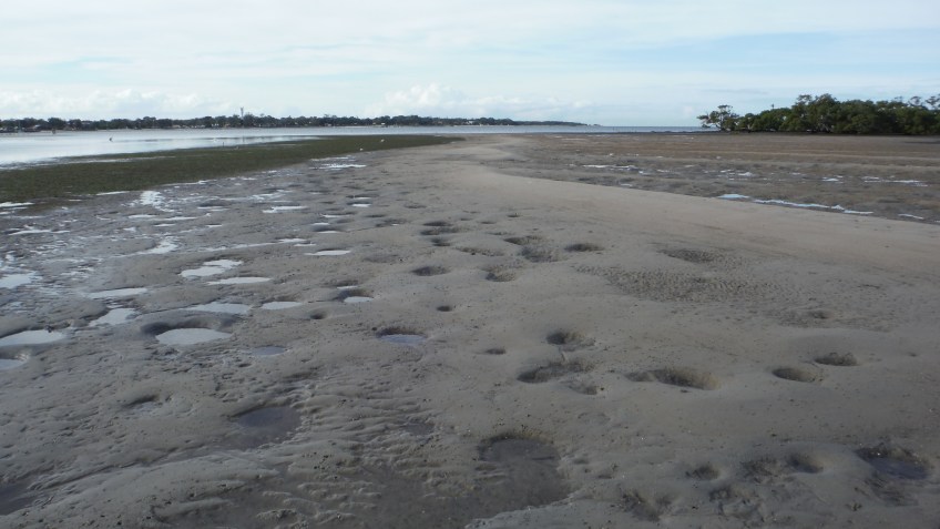 Bribie Island flats