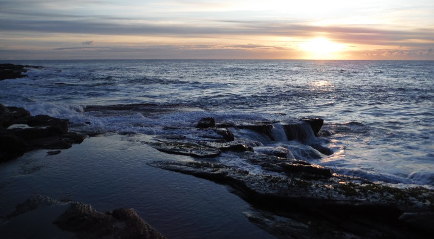 Woody Head fishing for Tailor