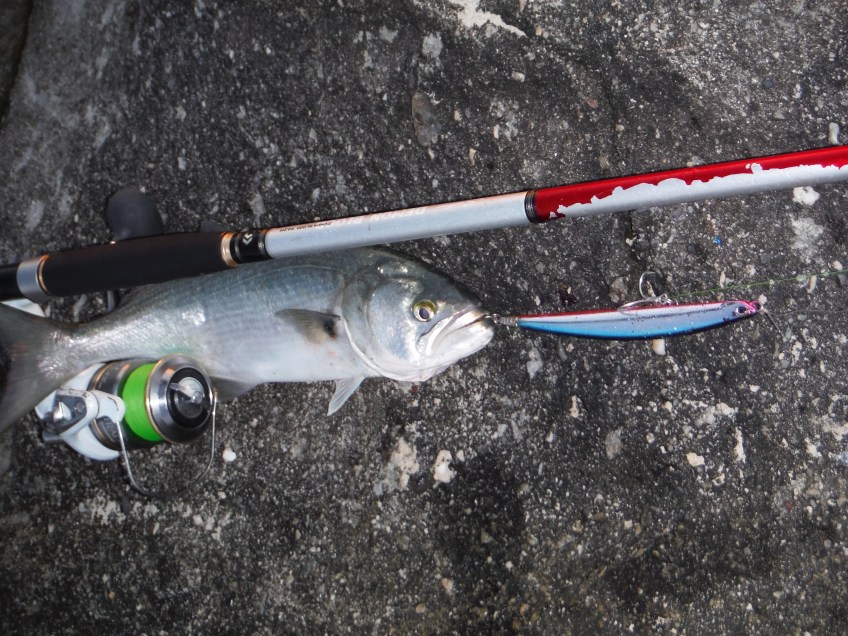 Battered Daiwa Demonblood