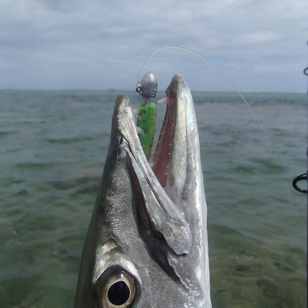 New Caledonia fishing
