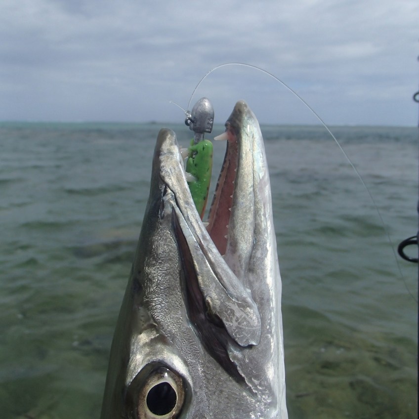 New Caledonia fishing