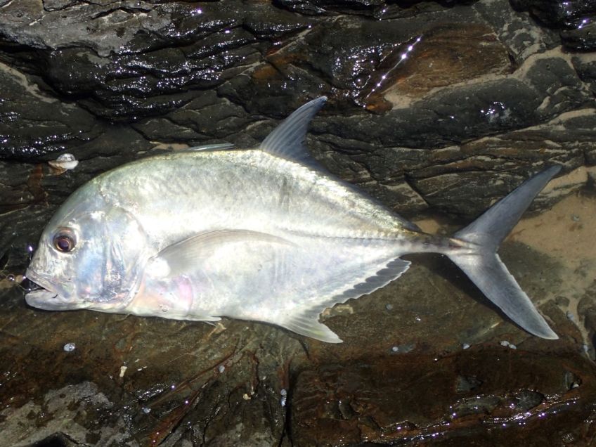 Fishing at Broken Head