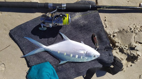 DUO Dragmetal cast dart