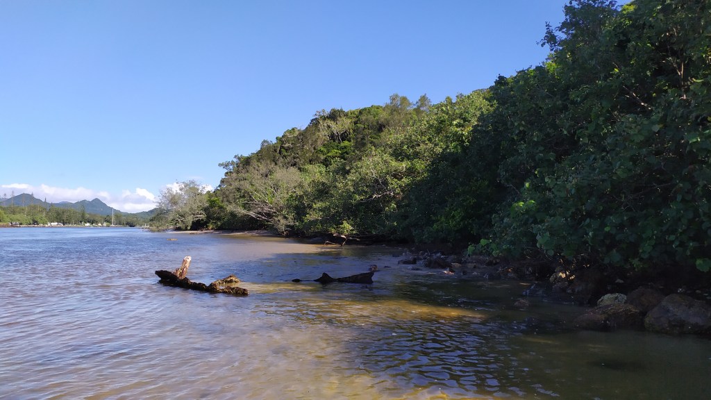 Brunswick River Wreck