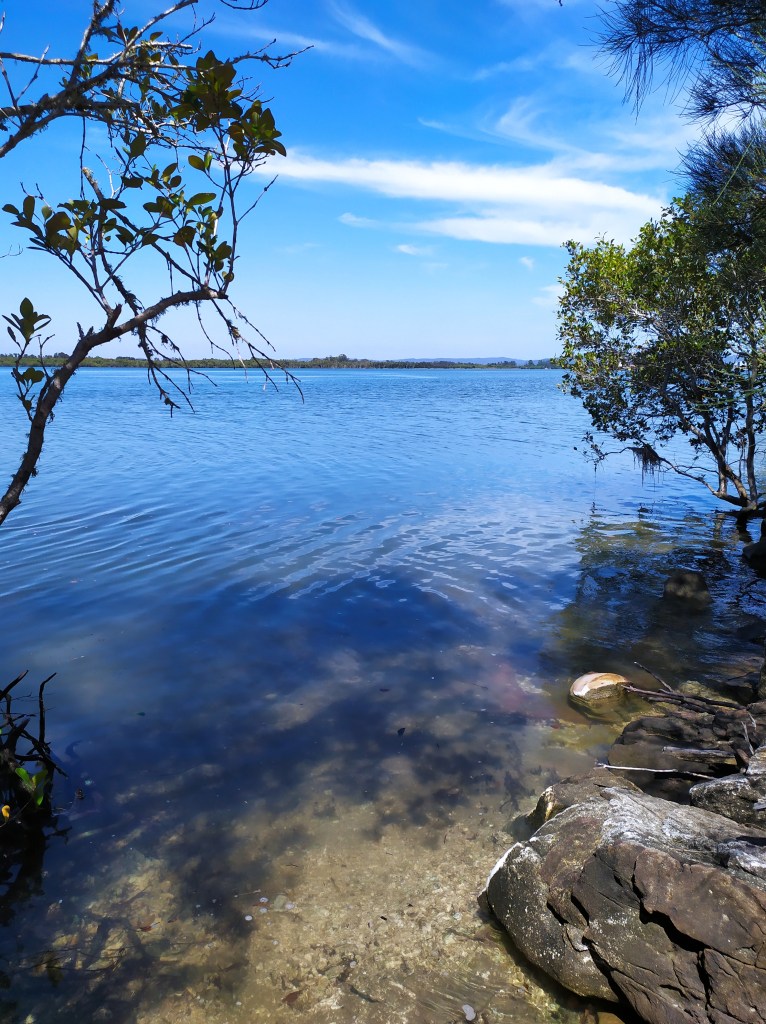 landangler water dragon